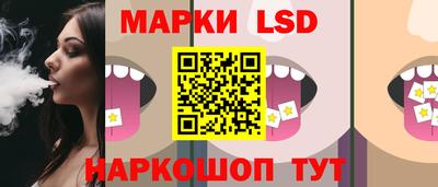 мдпв Гудермес