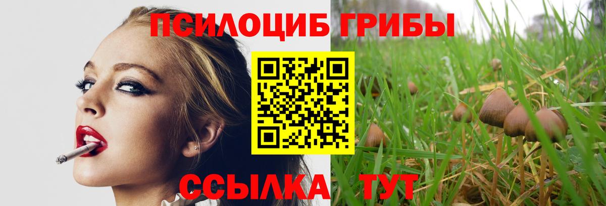 Камышлов  где купить наркоту  Вход с VPN  Псилоцибиновые грибы ЛСД  Галлюциногенные грибы Cubensis 